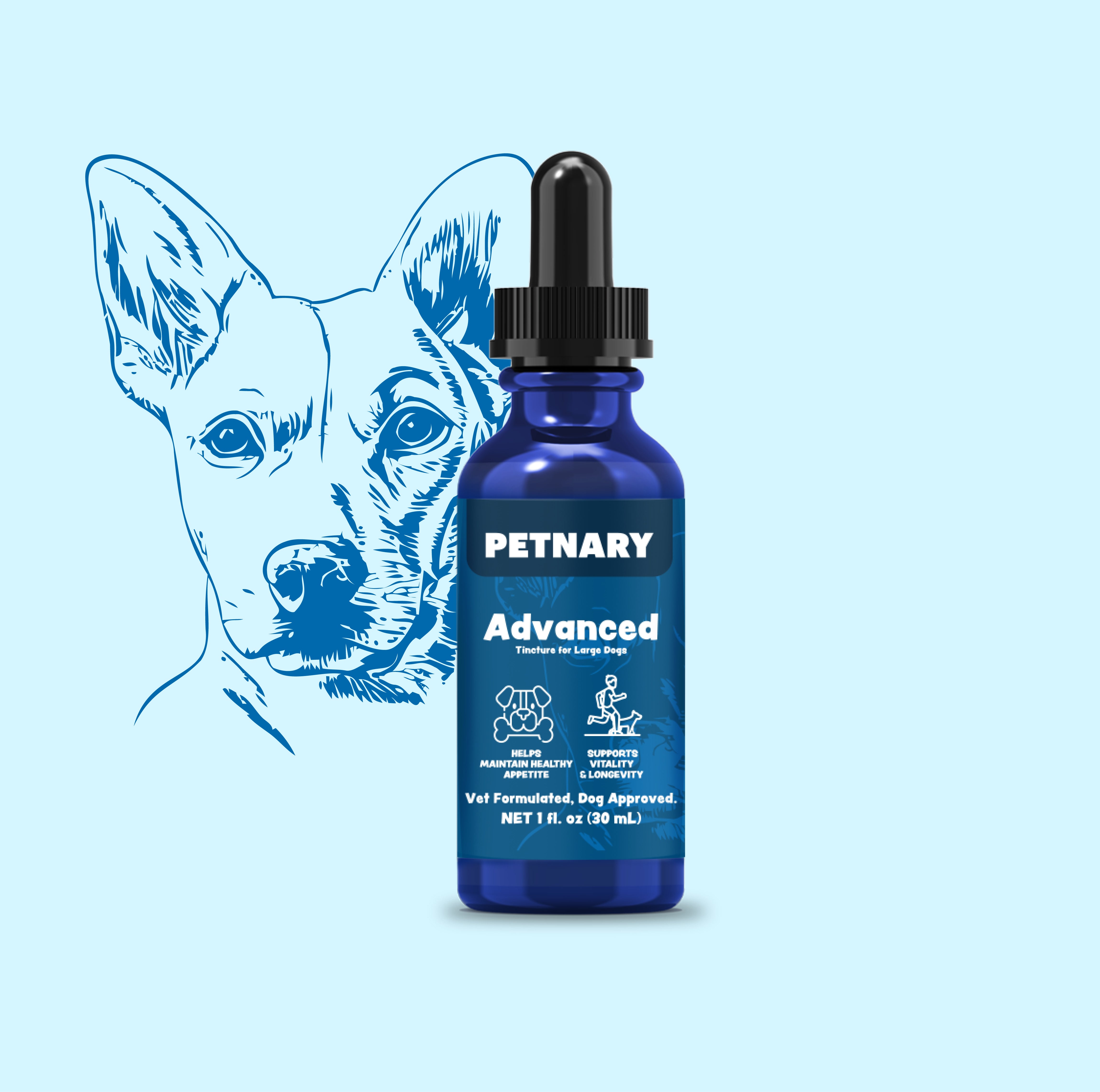 Petnary Advanced | Dog Hip & Joint Support Drops – Senior Mobility, Recovery & Physical Comfort