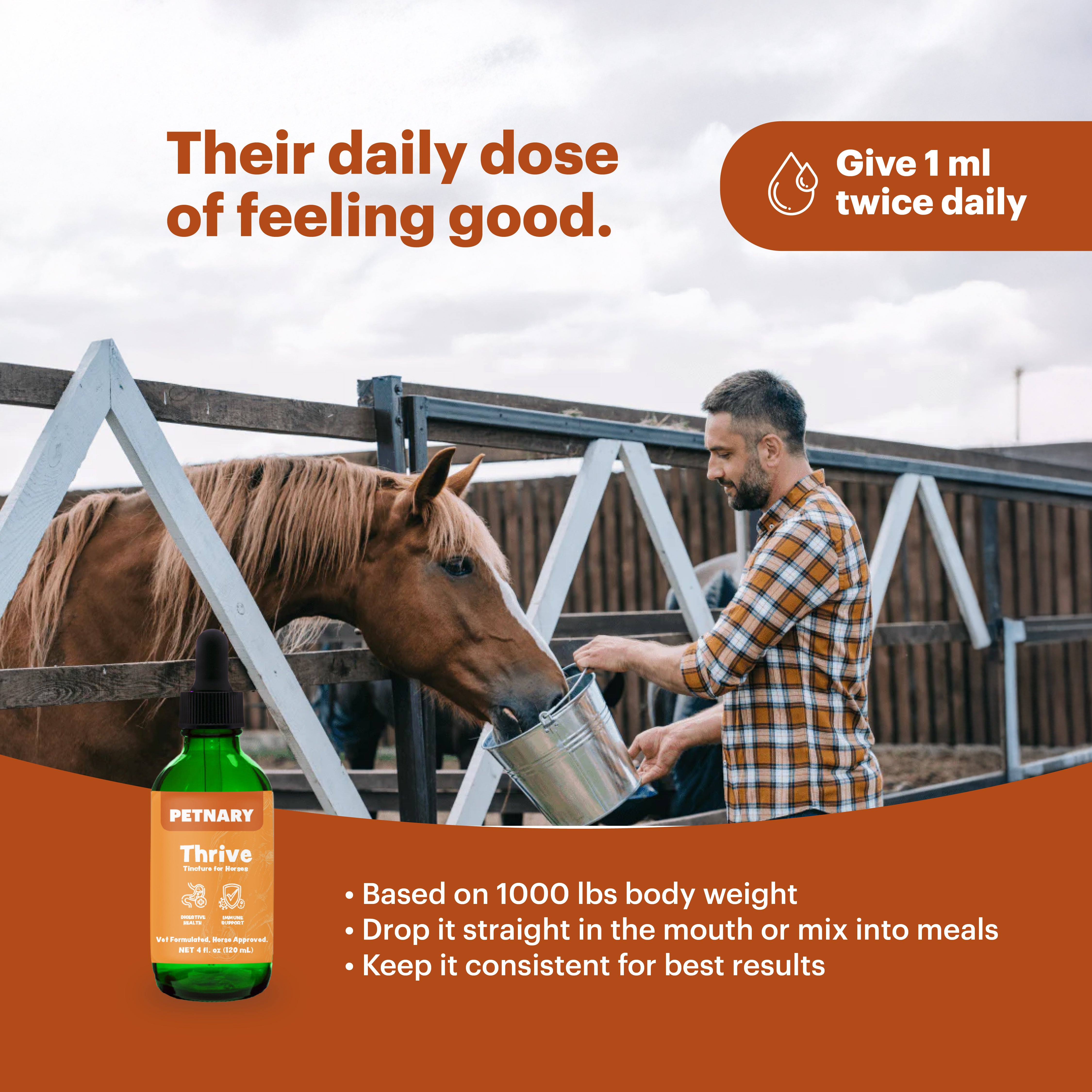 Petnary Thrive | 4-in-1 Equine Vitality Drops – Wild Alaskan Salmon Oil & Metabolic C8 Complex
