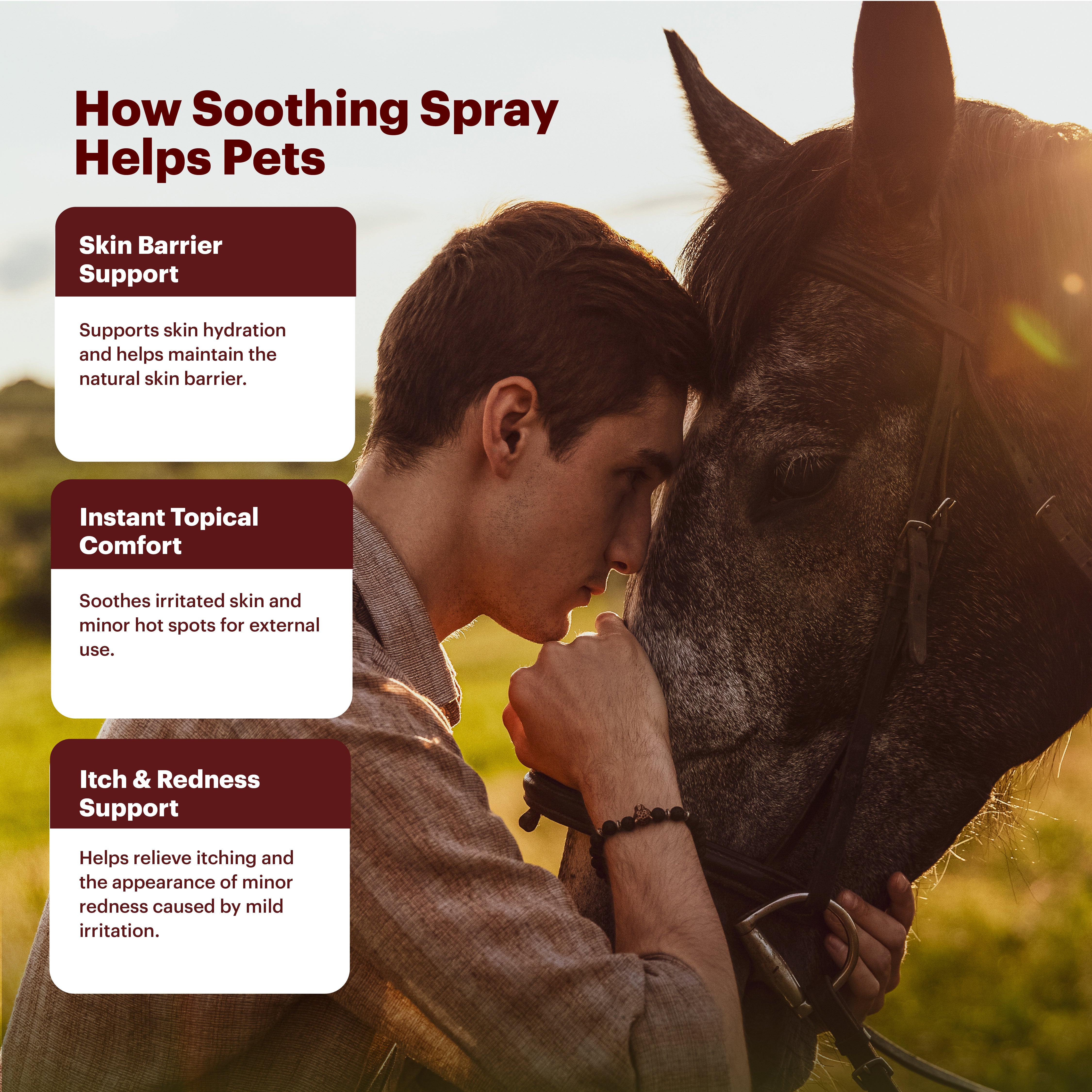 Petnary Targeted Soothing Spray – Advanced Botanical Support for Sensitive Skin & Topical Comfort