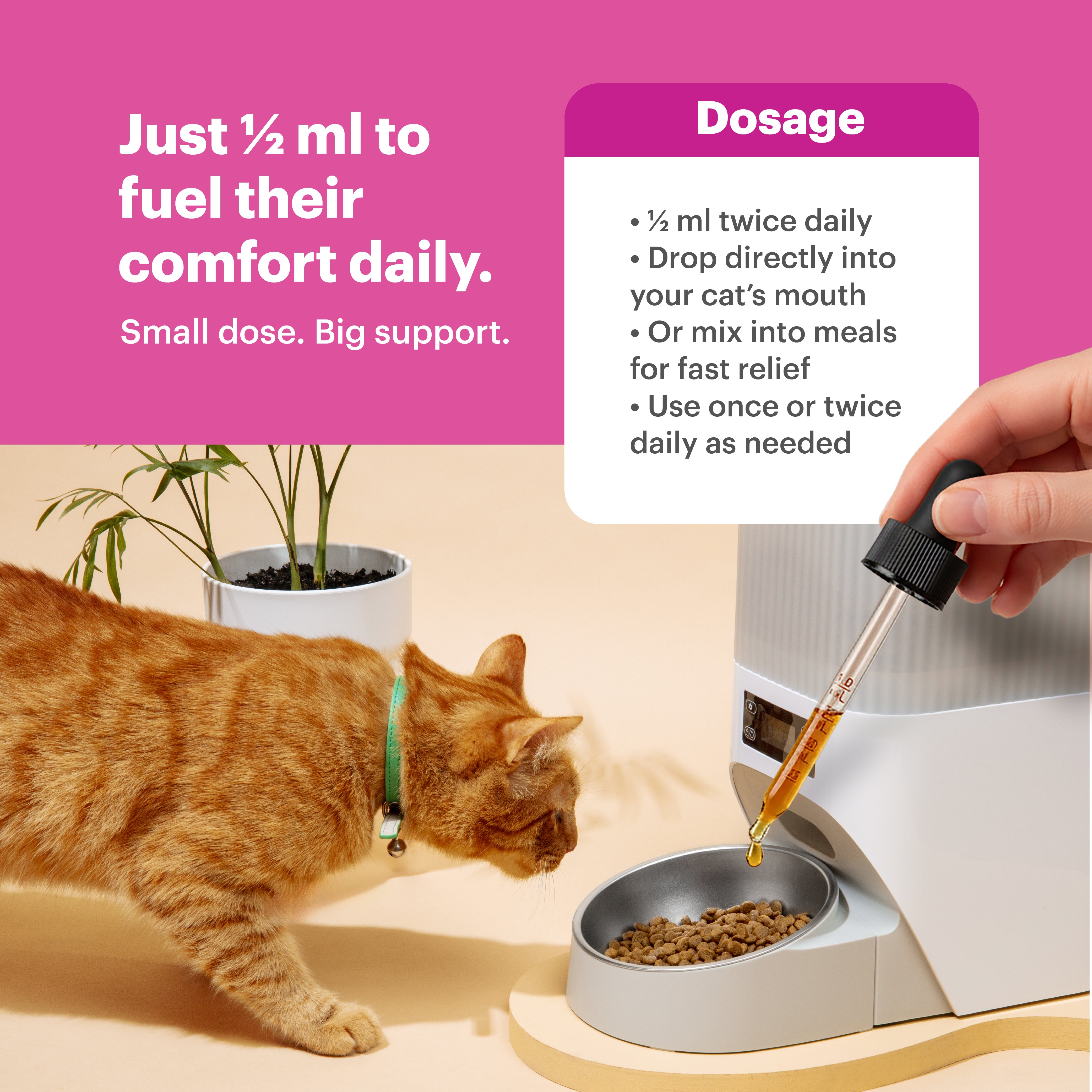 Petnary Advanced | Cat Hip & Joint Support Drops – Senior Mobility & Physical Comfort